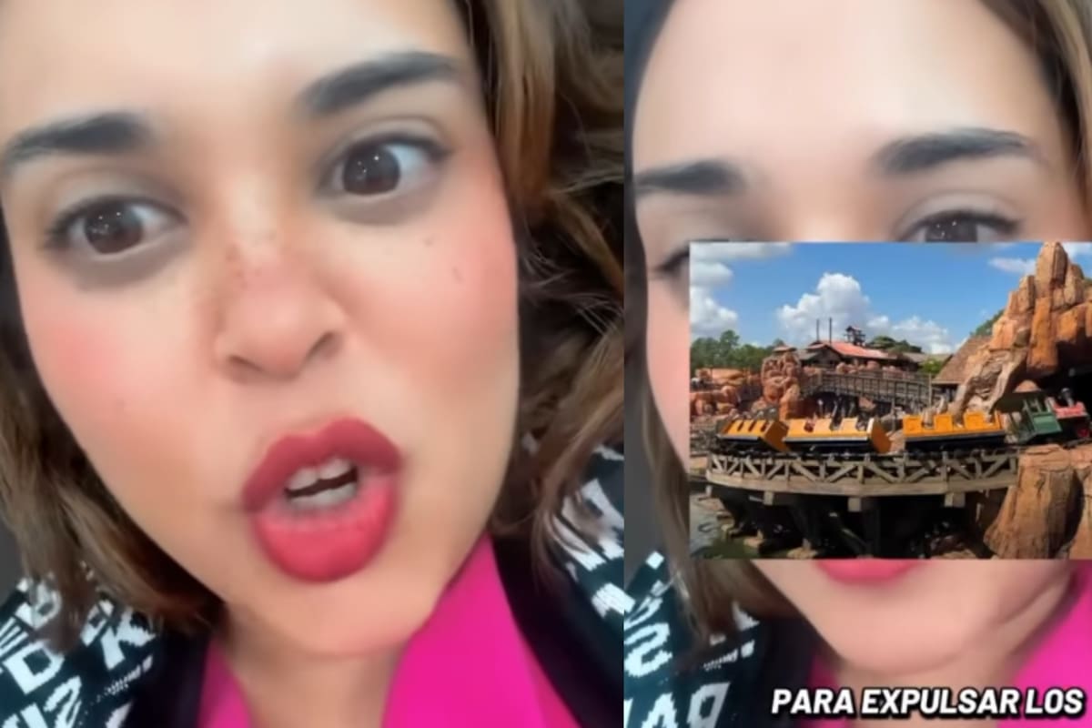 Joven se vuelve viral al revelar que pacientes aseguran expulsar cálculos renales tras subir a una atracción de Disneyland