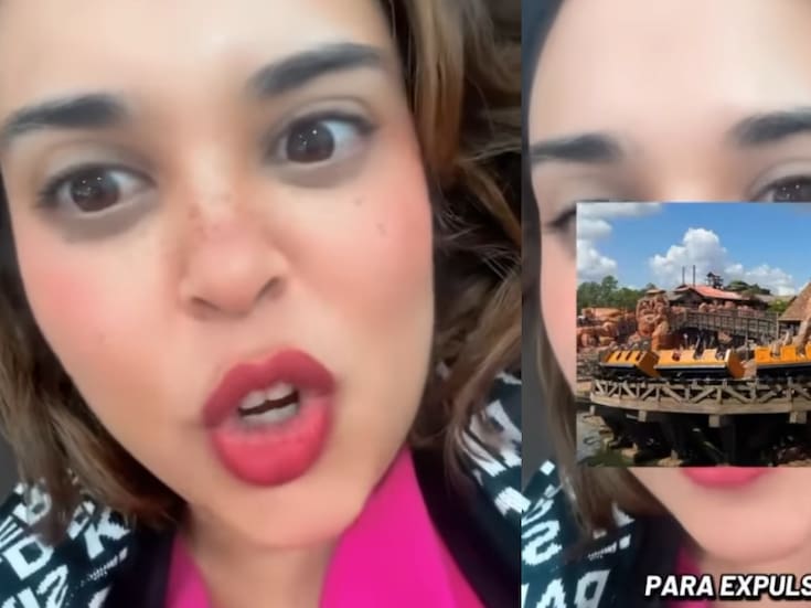 Joven se vuelve viral al revelar que pacientes aseguran expulsar cálculos renales tras subir a una atracción de Disneyland
