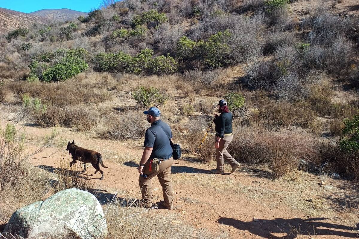 Localizan restos óseos en ejido de Maneadero
