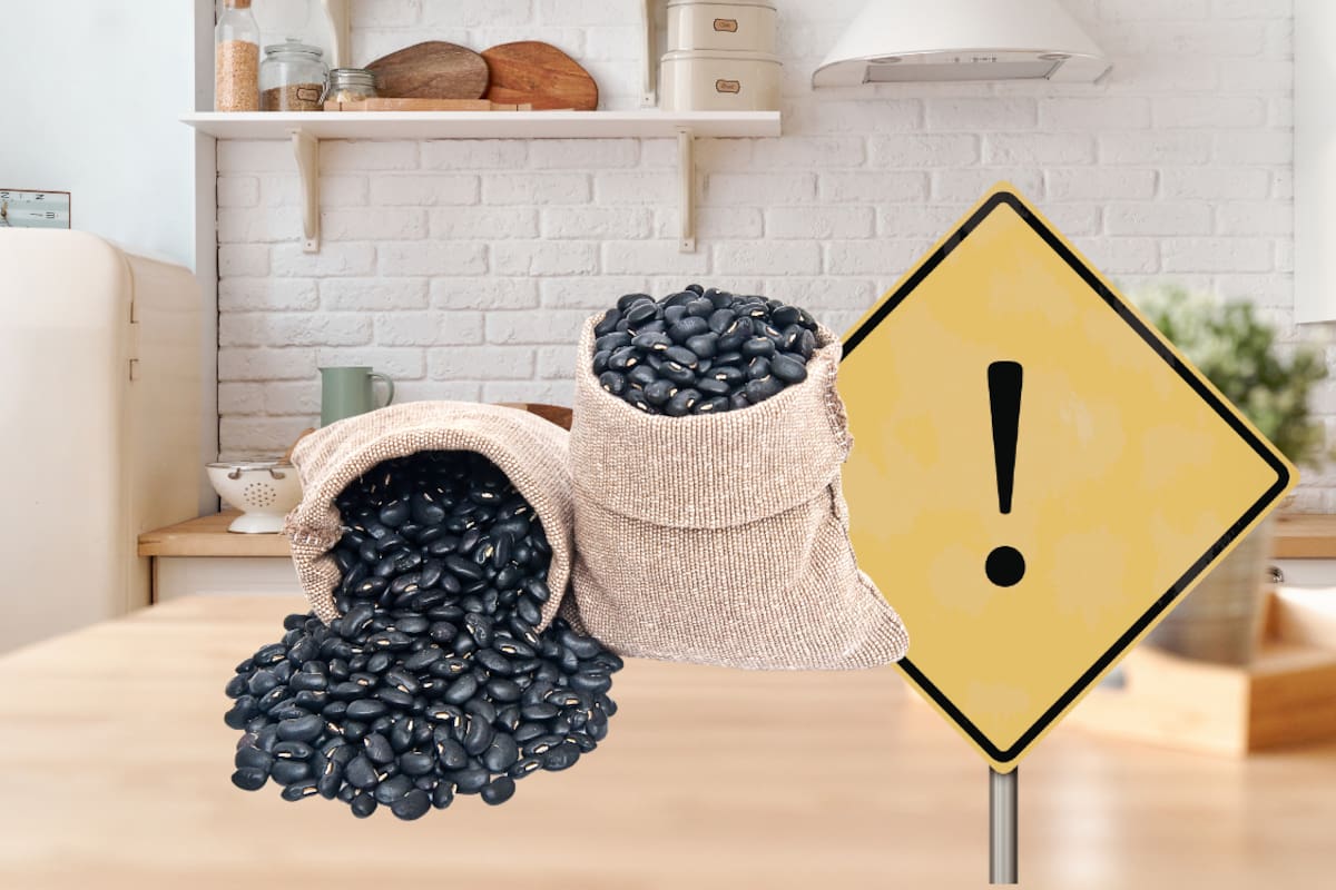 Retiran frijoles negros del mercado por contaminación con pesticidas: autoridades piden no consumirlos