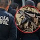 Detienen a policía de Cajeme con presunta droga, armas y equipo táctico