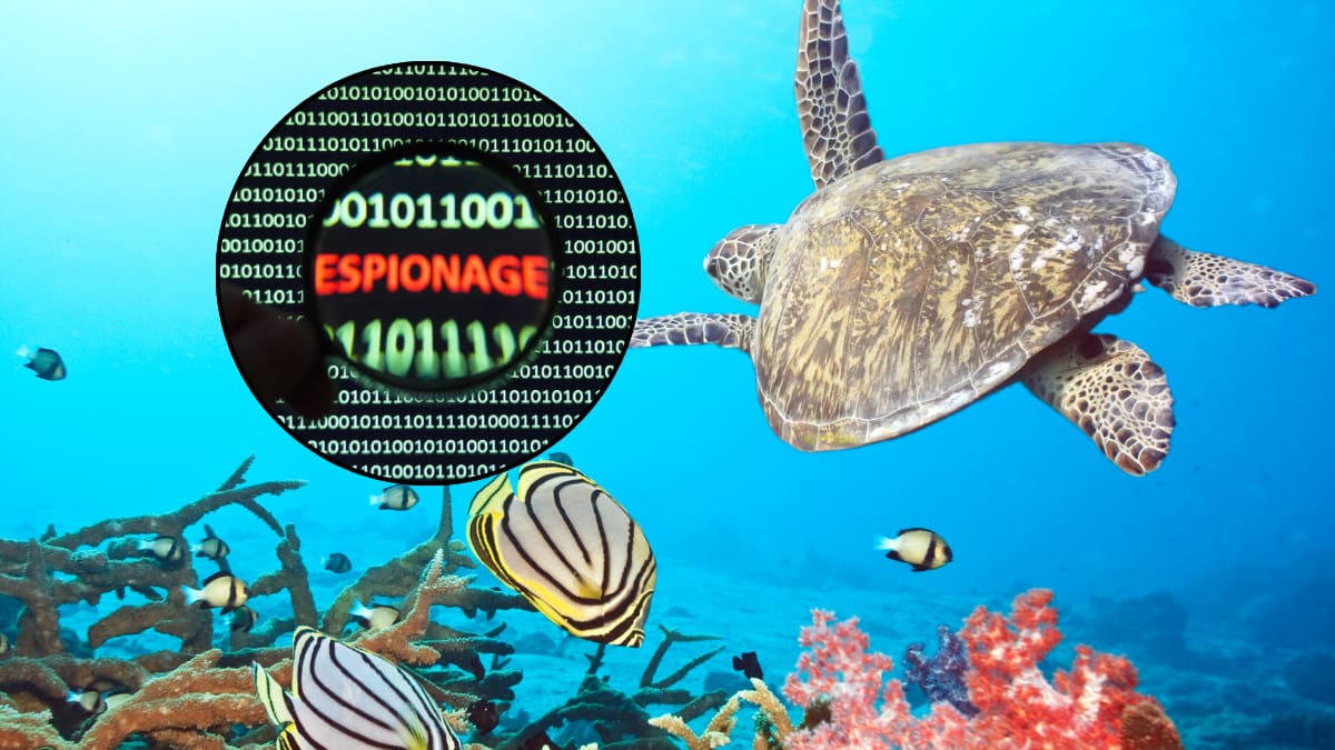 China alerta sobre “animales espía”: asegura que tortugas y peces son usados para recopilar información confidencial