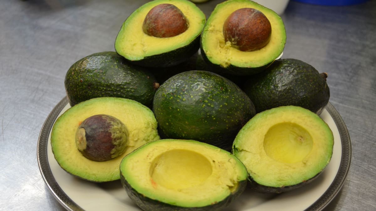 Sin limón ni aceite Cómo evitar que el aguacate se oxide | Foto: Especial (canva)
