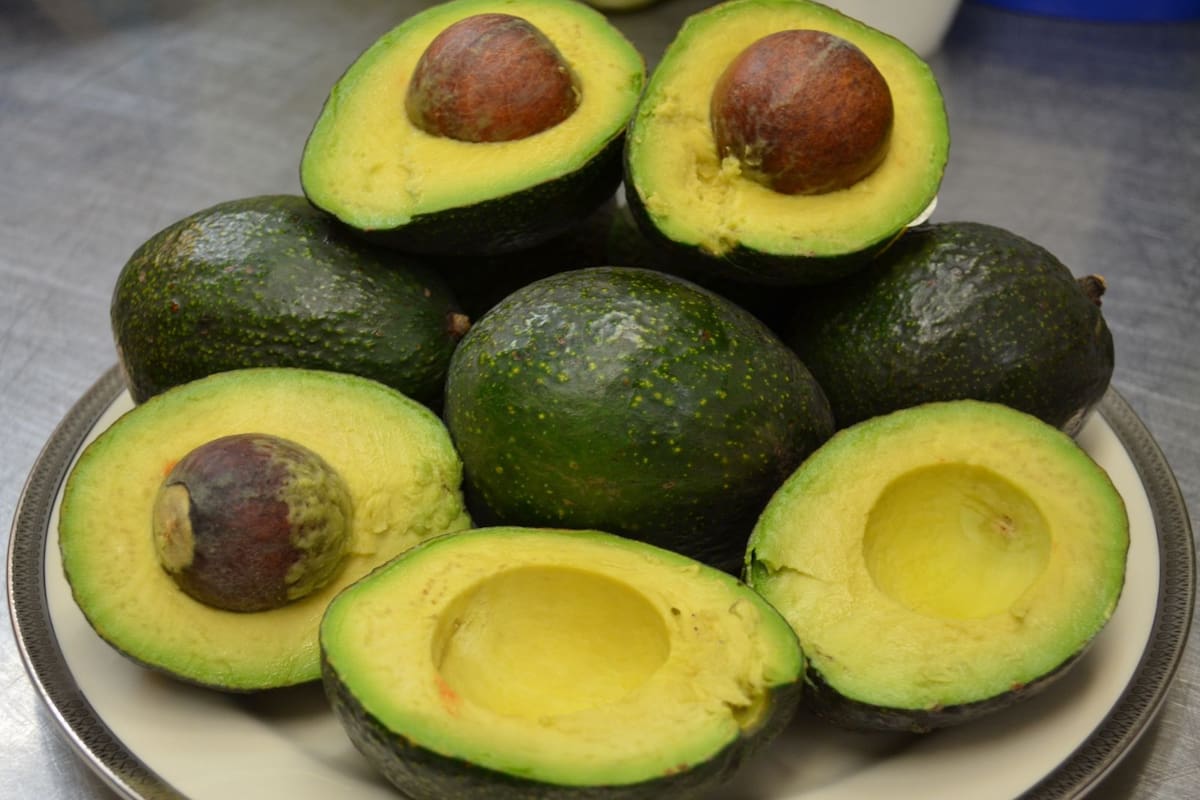 ¿Comer aguacate todos los días es saludable? Lo que dice la ciencia y cómo aprovecharlo mejor