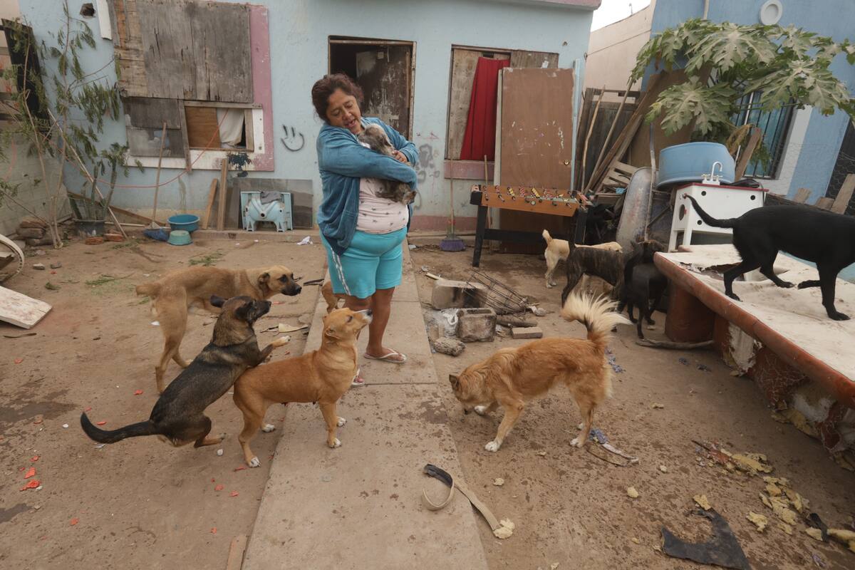 Hermosillo: Santa Cruz abre la puerta de su casa y de su corazón a los animales