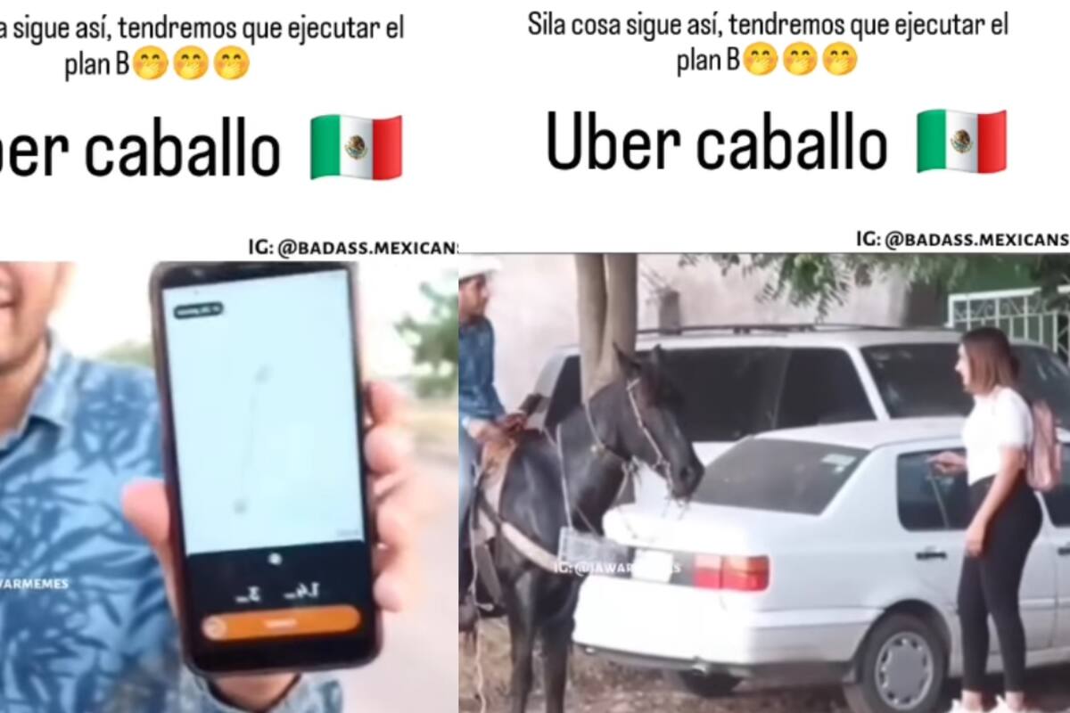“Ahí tiene la placa, ¿se va a subir o no?”: Chofer de Uber recoge a su pasajera montado en un caballo y la deja sin palabras