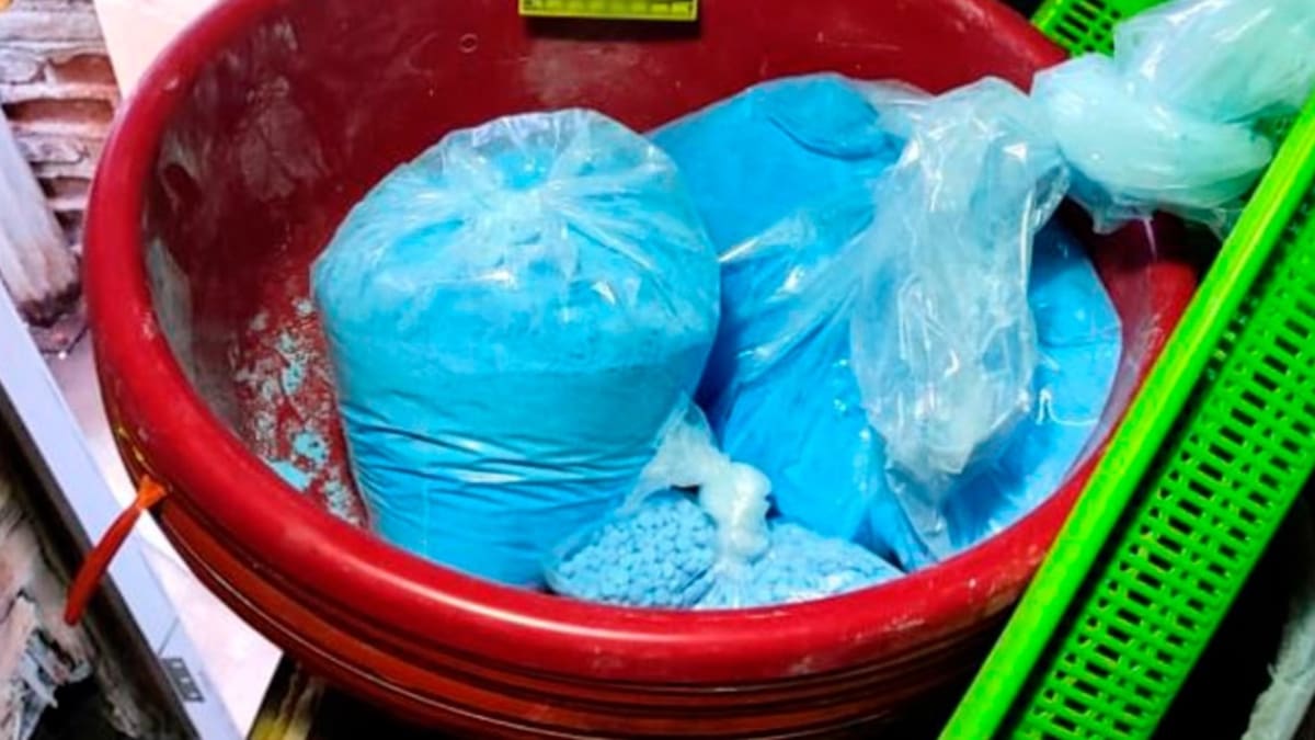 Detectan al norte de México corredor de cristal y fentanilo mientras Sinaloa, Sonora y Baja California se mantienen con los estados con más decomisos