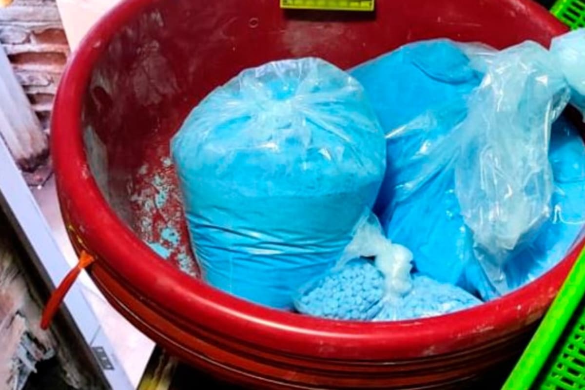 Aseguran diversas dosis de droga tras cateo en un domicilio de Tijuana