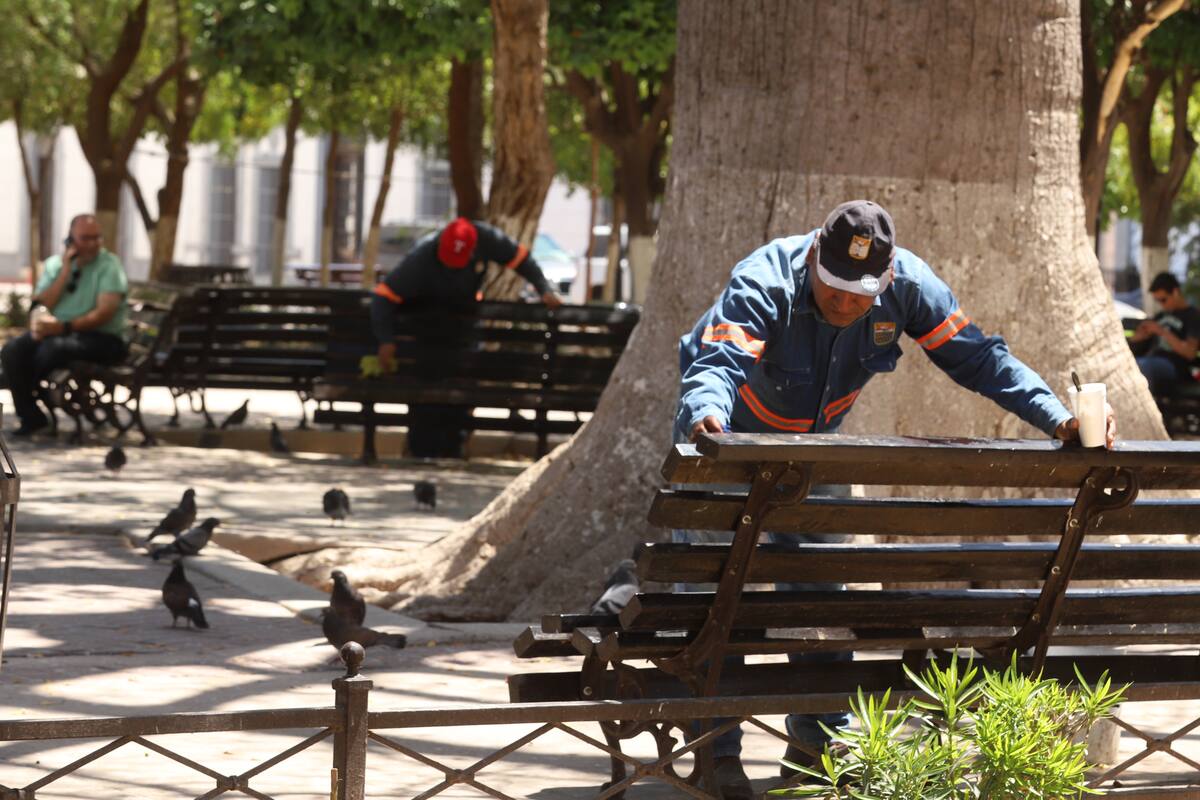 Hermosillo: Dan mantenimiento a bancas de Plaza Zaragoza