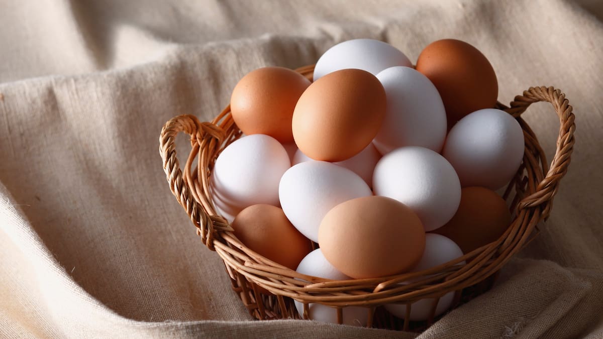 Cocinar bien el huevo hace que tu cuerpo aproveche hasta el 90% de sus proteínas, frente al 51% si está crudo/Foto: Canva