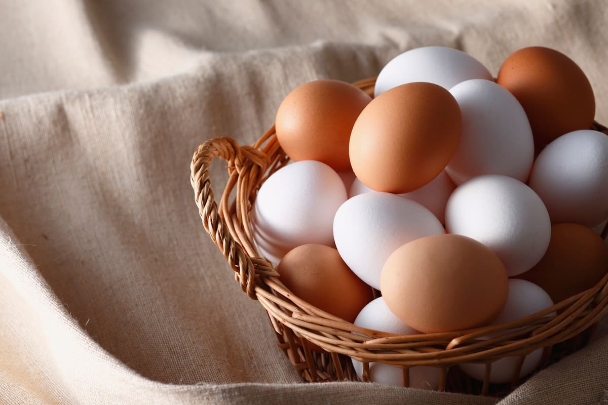 ¿Hervido o frito? Cómo el método de cocción cambia lo que aporta el huevo