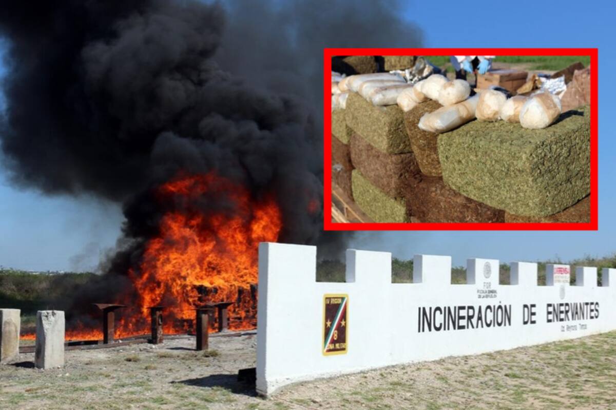 FGR destruye casi dos toneladas de droga en Reynosa, Tamaulipas