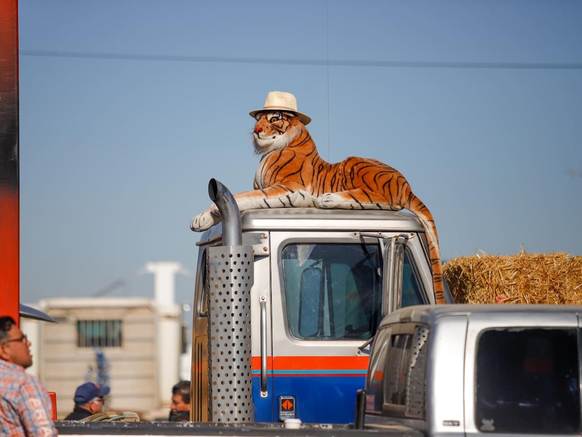 Foto: Juan Jesús Morales