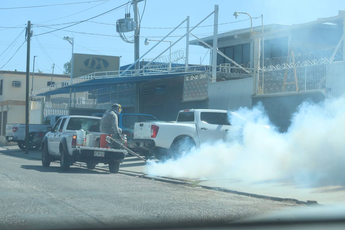 Llegó la temporada de dengue: Van 3 casos en Sonora