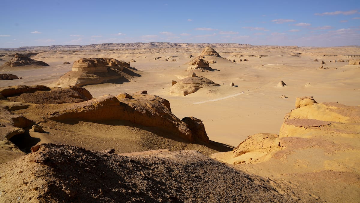 Hace 62 millones de años el actual Desierto Oriental de Egipto estaba cubierto por un mar cálido con cientos de peces y casi 500 fósiles revelan cómo se recuperó la vida marina tras la extinción de los dinosaurios