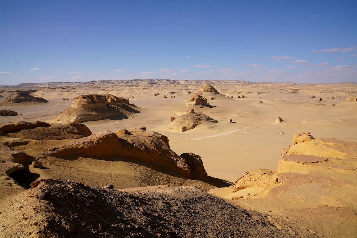 Hace 62 millones de años el actual Desierto Oriental de Egipto estaba cubierto por un mar cálido con cientos de peces y casi 500 fósiles revelan cómo se recuperó la vida marina tras la extinción de los dinosaurios