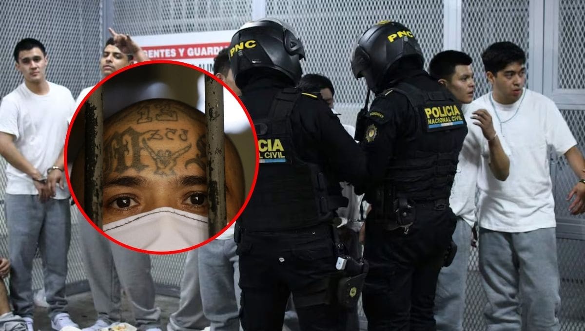 Las autoridades de Guatemala detuvieron a 17 presuntos miembros de la Mara Salvatrucha durante un operativo masivo en Barrio El Gallito, Ciudad de Guatemala.