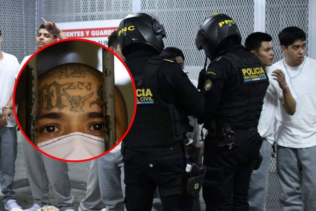 Capturan a 17 presuntos miembros de la Mara Salvatrucha en operativo masivo en Guatemala