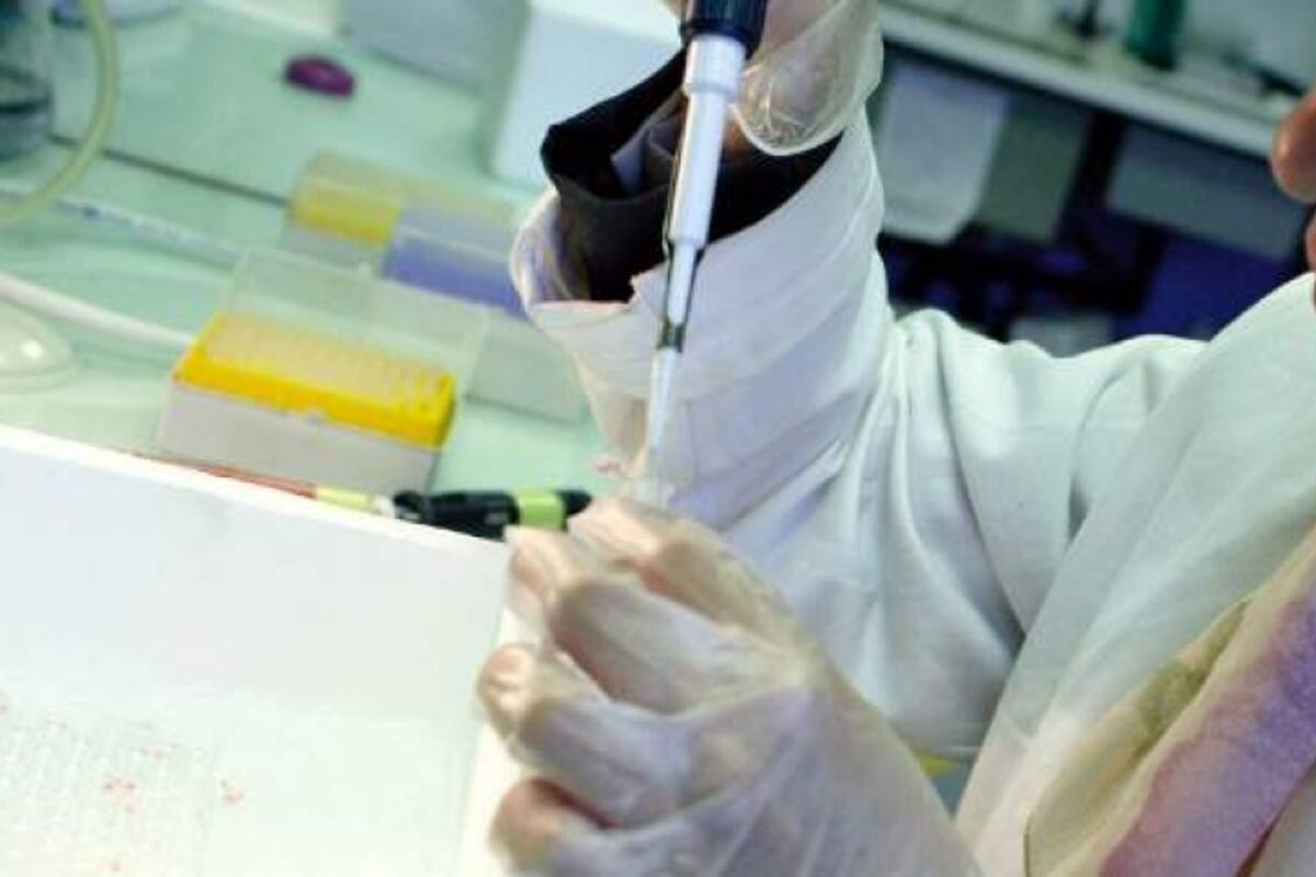 Células cancerígenas "se hacen inmortales" con vitamina C reciclada