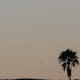 Luna del Cazador ilumina el cielo de Tijuana en octubre