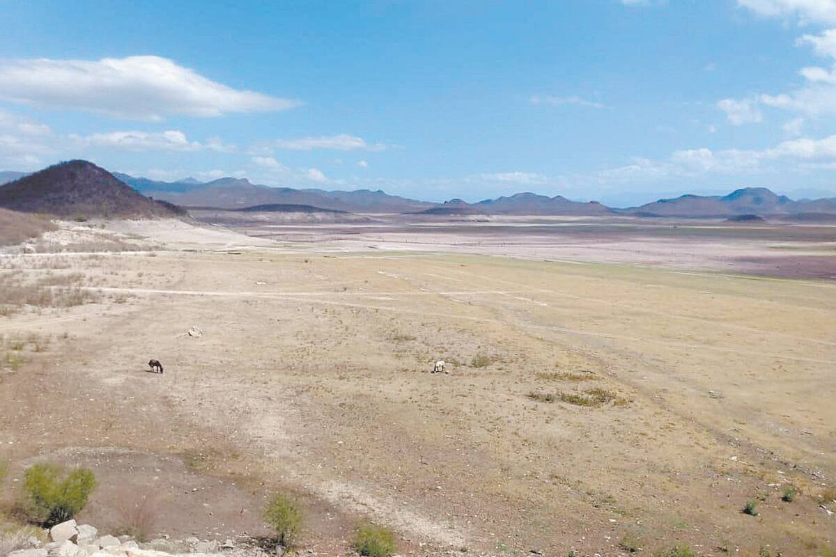Es la falta de agua un desafío sin precedentes para productores de Sonora