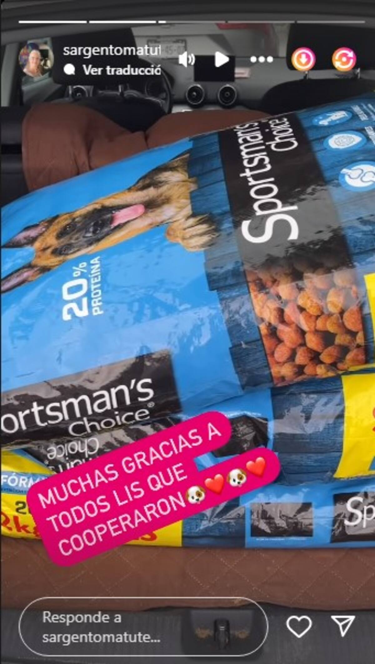 Crista Montes recibió apoyo para sus perros / Instagram: @sargentomatute