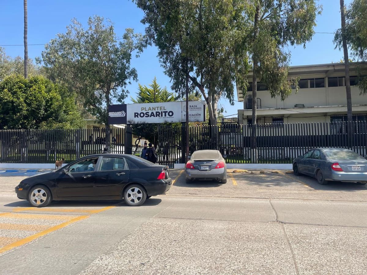 Dos de los alumnos optaron por darse de baja voluntariamente, mientras que el resto continuará sus estudios bajo esquemas alternativos. Foto: Carmen Gutiérrez