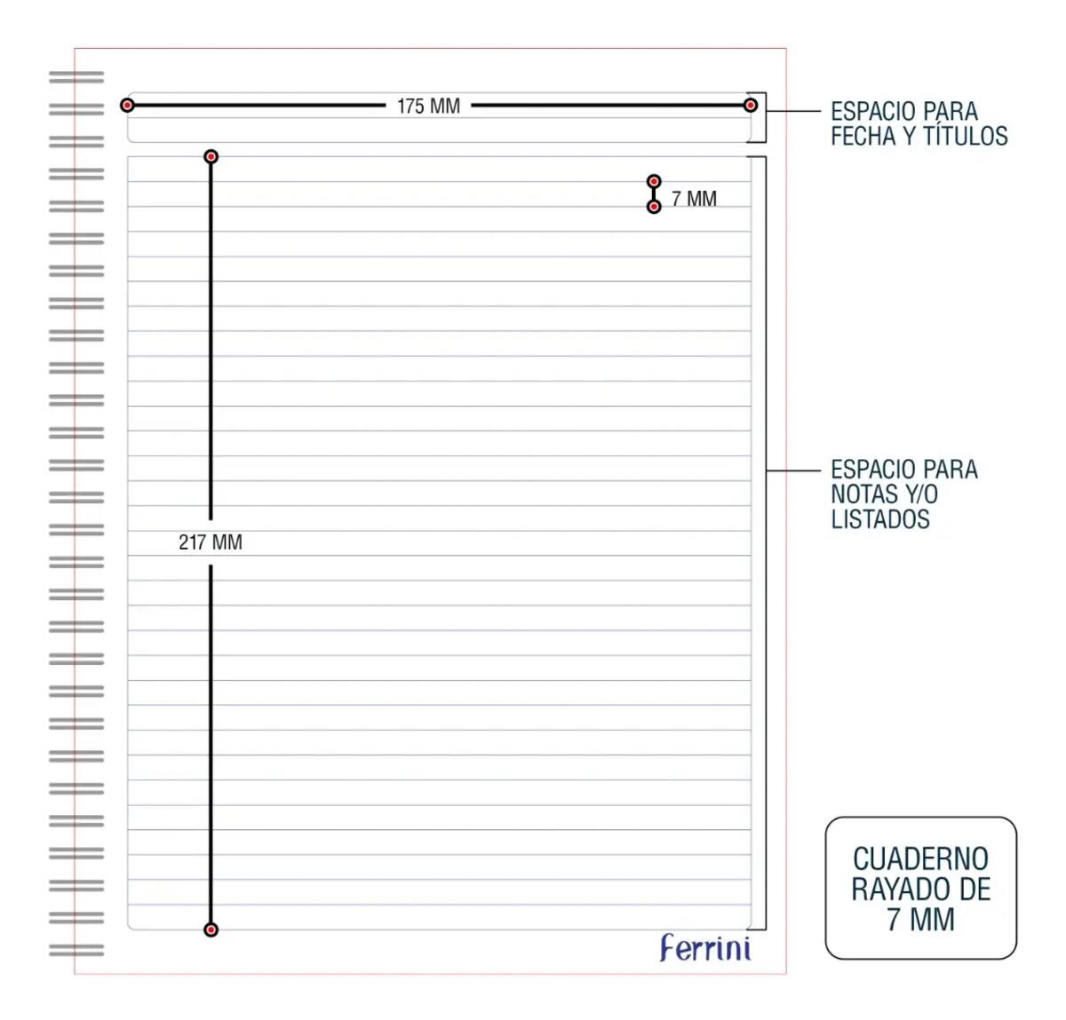 Paquete de 6 cuadernos profesionales de la marca Ferrini | Mercado Libre