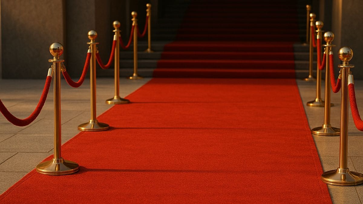 Encontró la alfombra de los Oscars en un contenedor de basura y ahora es el objeto más deseado de su departamento