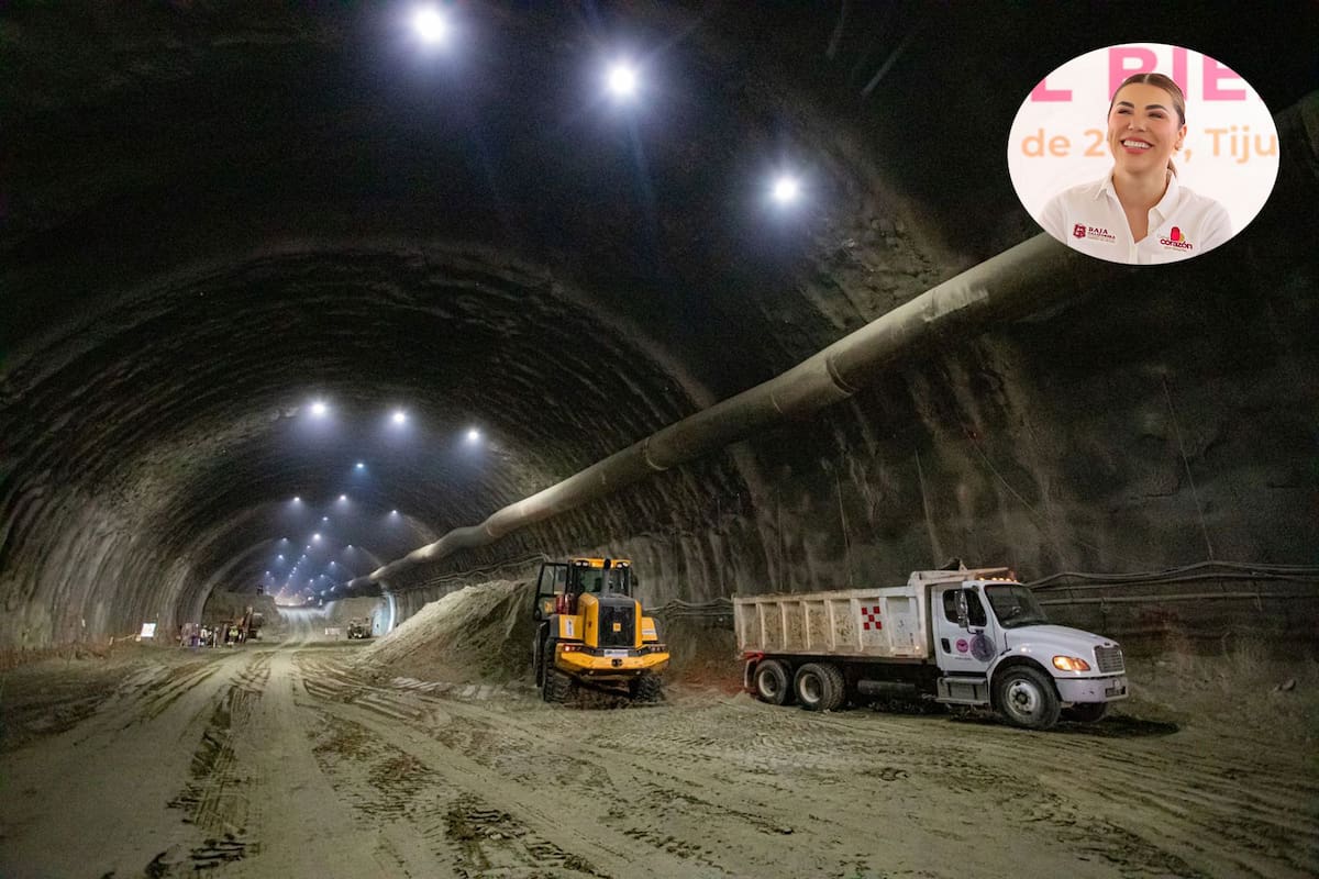 Primera mitad del Viaducto Elevado estará en abril