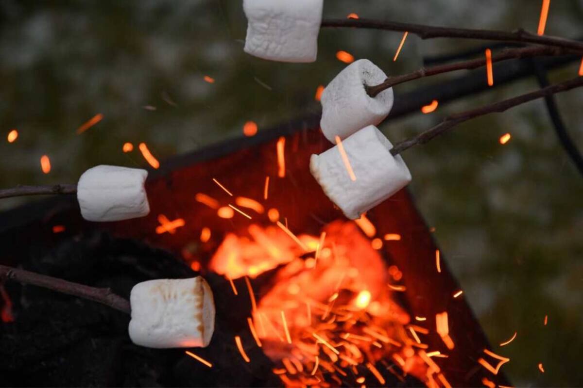 La dulce historia de los malvaviscos: de Egipto a Francia