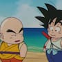 Si de niño preferías a Krillin, hoy tienes ventajas psicológicas para superar la presión social y la envidia gracias a una resiliencia que protege tu salud mental, frena la ansiedad y te enseña a aceptar tu realidad