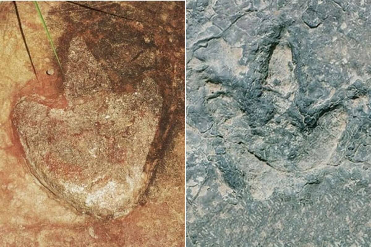 Huellas de dinosaurios dan a conocer detalles sobre un supercontinente de hace 120 millones de años