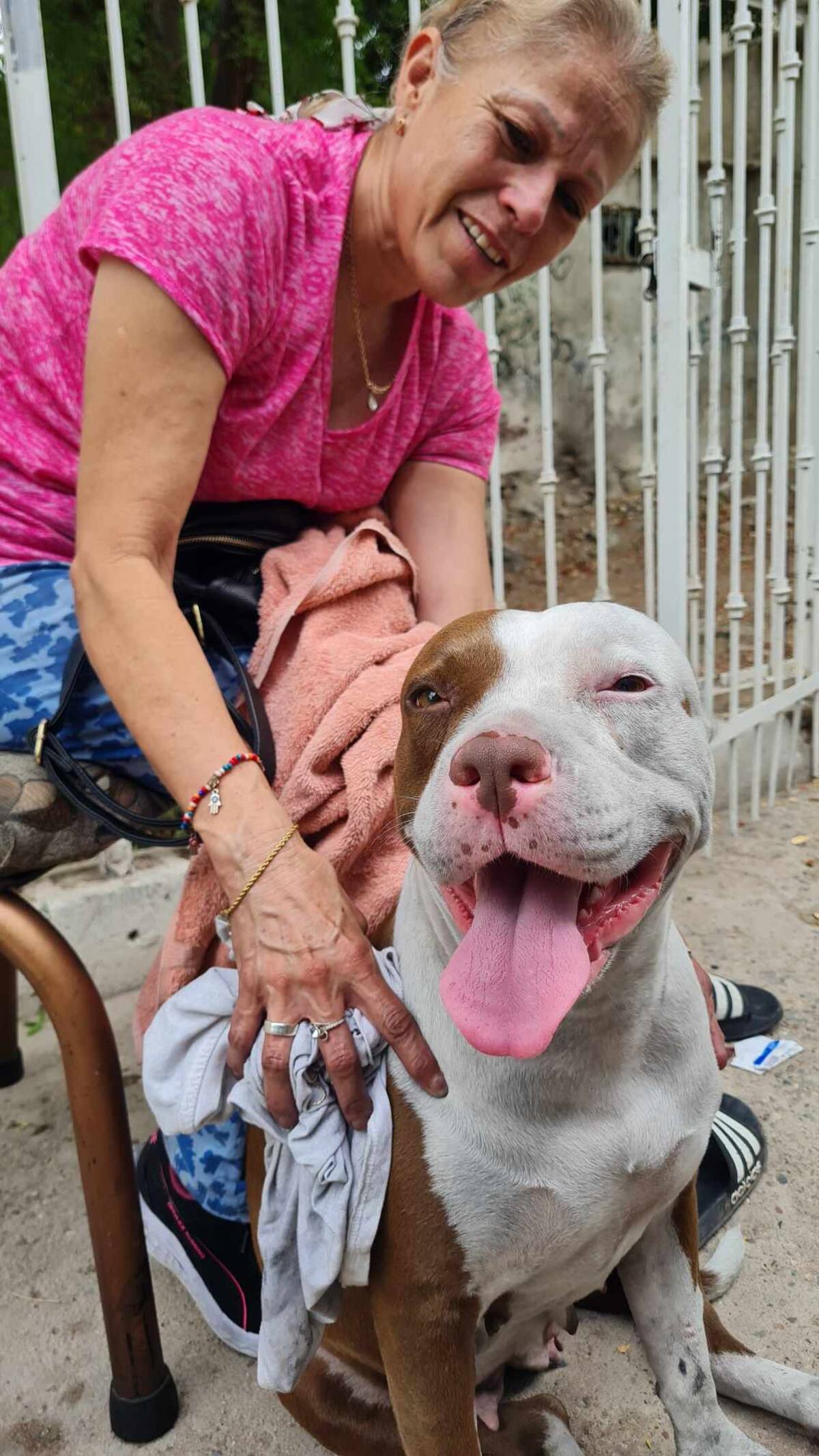 Incendio en Coloso Bajo: Rescatan a persona y perrita intoxicadas. Foto: Archivo digital GH