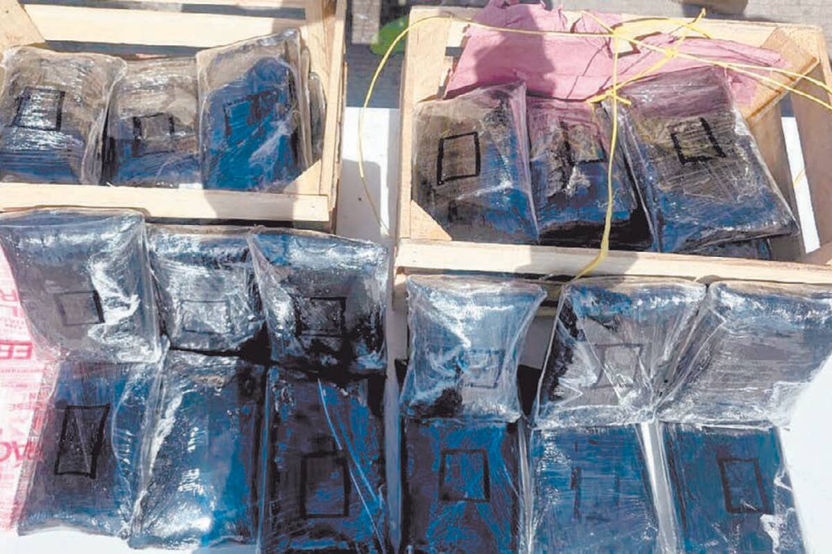 Aseguran en Sonora  275 mil pastillas de fentanilo ocultas  en carga de nopales