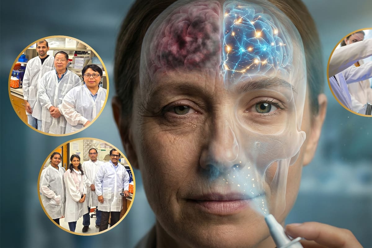 Texas A&M University desarrolla aerosol nasal que revierte el envejecimiento cerebral, reduce inflamación y mejora la memoria en semanas, abriendo la puerta a tratamientos menos invasivos contra demencia y deterioro cognitivo