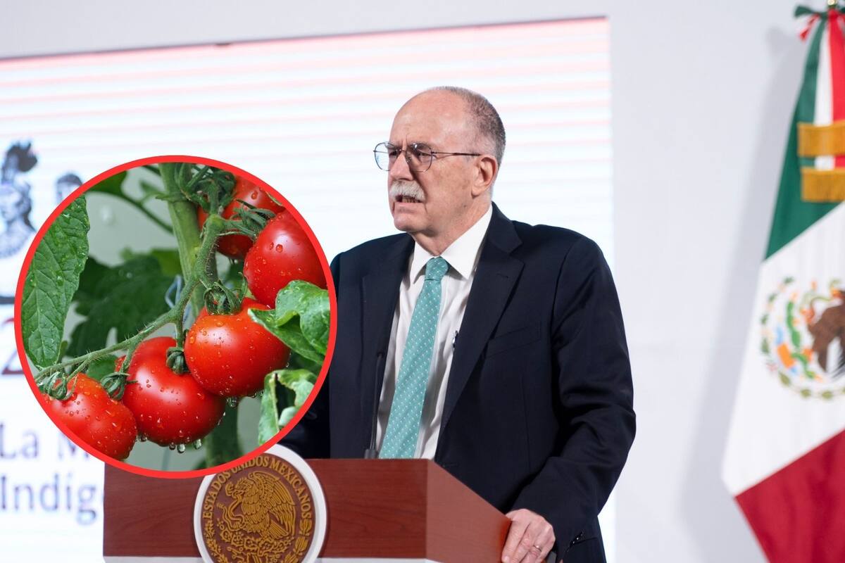 México negociará aranceles de EEUU de 20.91% al tomate mexicano; impuesto afectará a estadounidenses: Berdegué