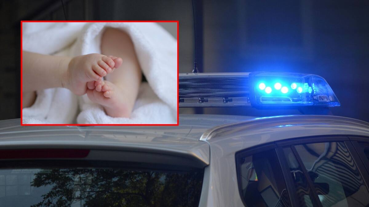 El caso fue nombrado “Operación Natal” y permanece abierto.