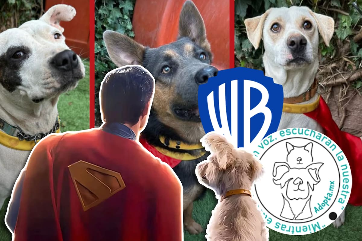 “Adopta al Krypto de tu Superman”: Warner Bros colabora con refugio mexicano para promover la adopción de mascotas