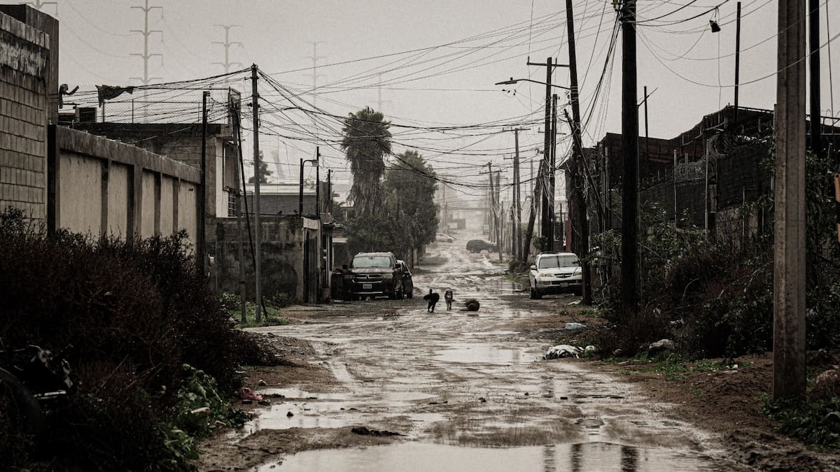 Año Nuevo deja atropellamientos y afectaciones a animales en Tijuana