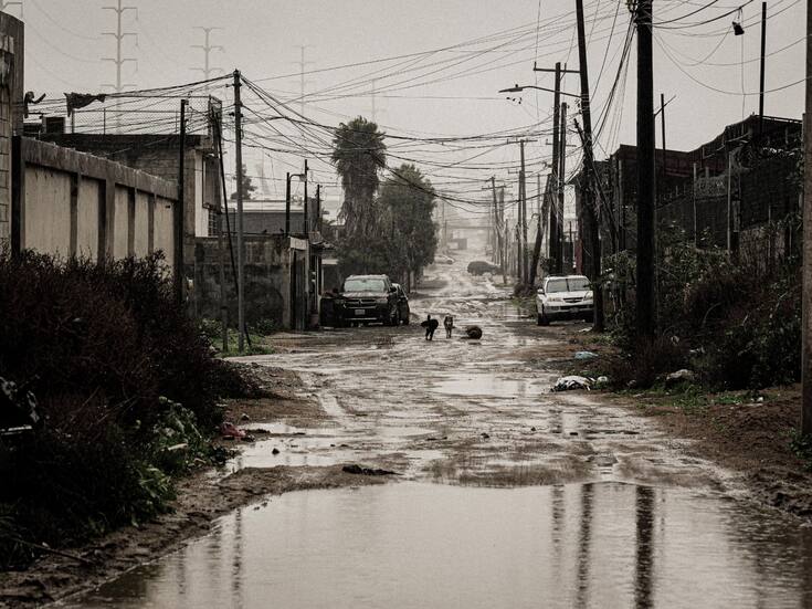 Año Nuevo deja atropellamientos y afectaciones a animales en Tijuana