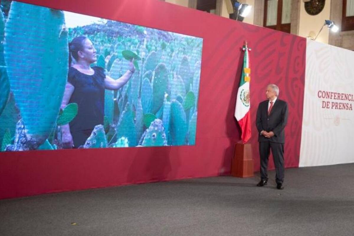 Pide AMLO a simpatizantes evitar caravanas a favor del Gobierno; opositores son panistas y no perjudican, dice