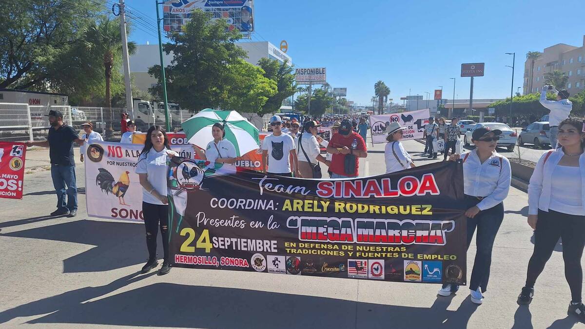 Galleros se preparan para manifestación pacífica rumbo al Congreso de Sonora