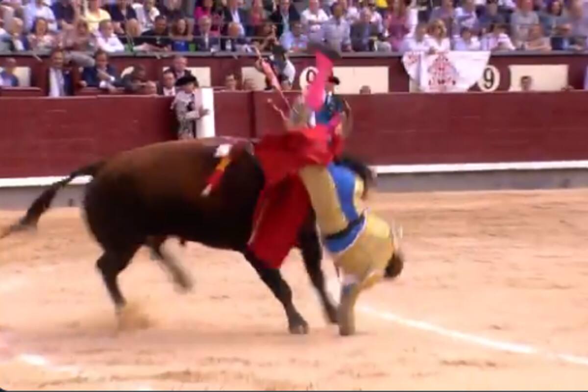 Torero Román sufre fuerte cornada de 30 centímetros