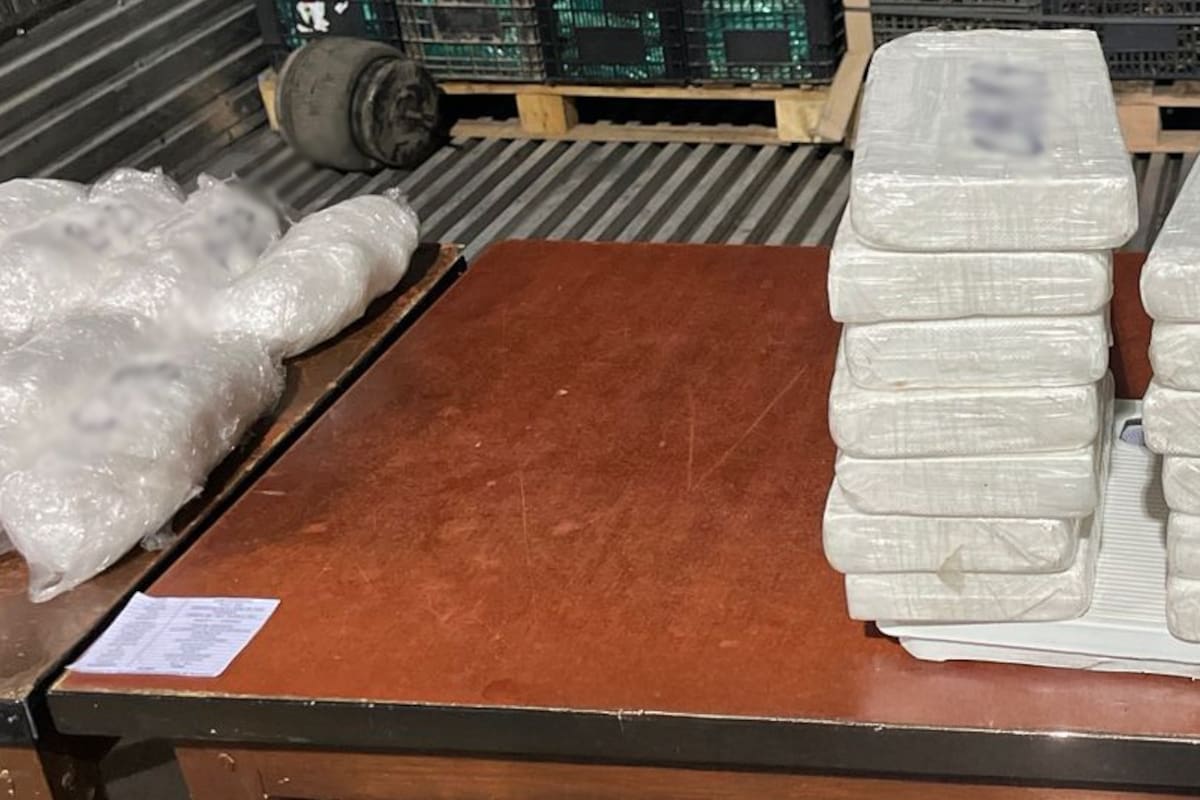 Aseguran 600 kilos ‘Cristal’
