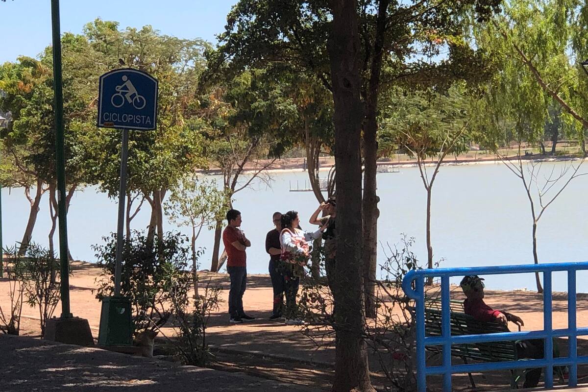 Aumento del 100% en ventas esperan coqueros de la “Novia de Cajeme”