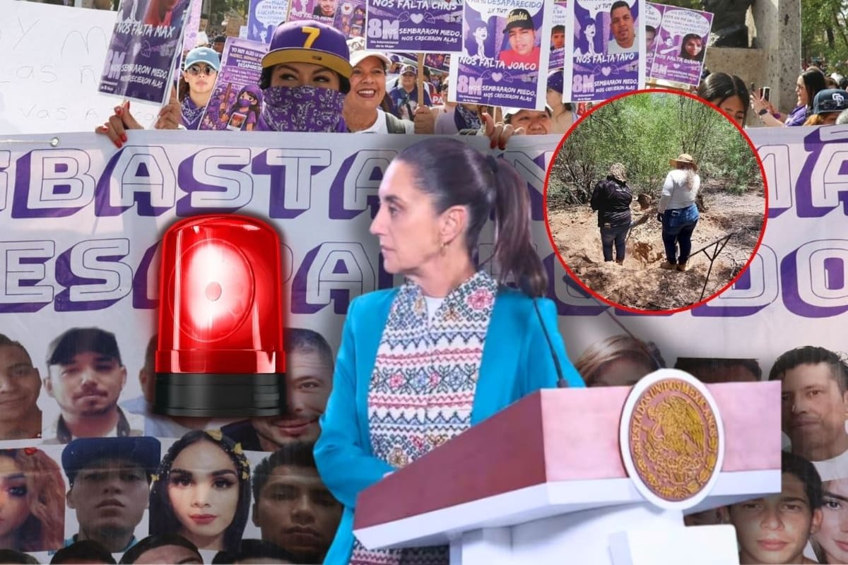 Amnistía Internacional pide declarar emergencia nacional en México por más de 133 mil desaparecidos y 99.6% de impunidad, tras respaldar activación del Artículo 34 de la ONU para revisar crisis sistemática