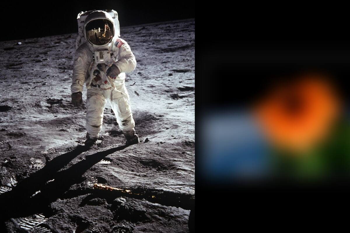 ¡Increíble! La primera flor que ha crecido en el espacio