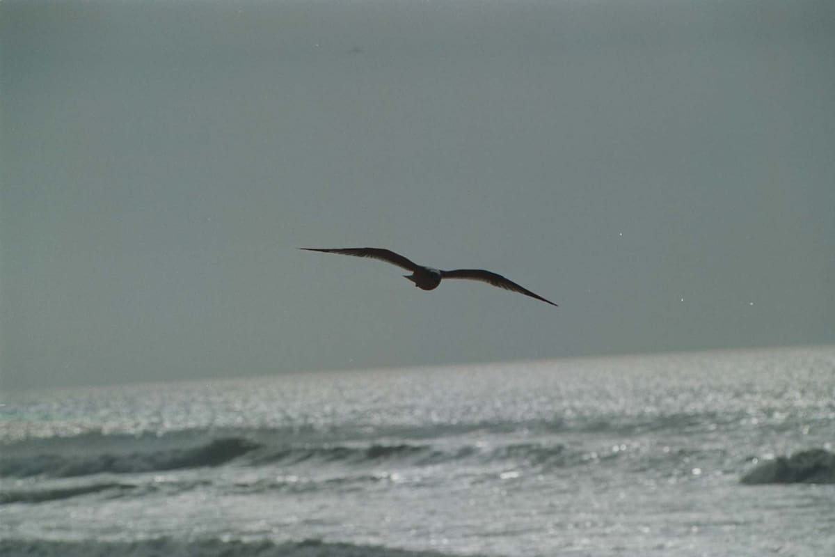Clima Tijuana: Inicio de semana con cielo despejado y temperatura fría