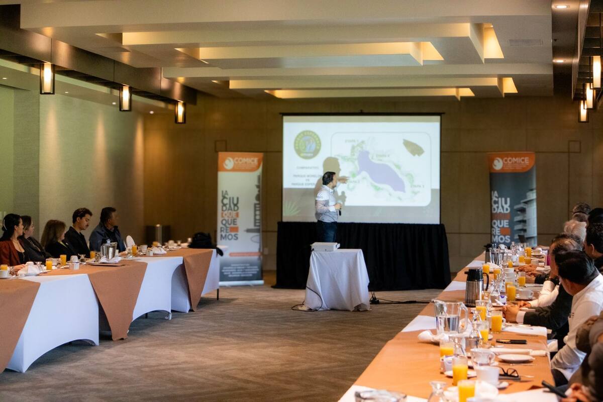 Sesión con integrantes de la COMICE